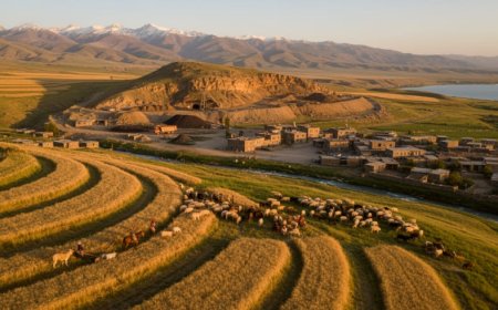 Doğu Anadolu Bölgesi